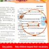 Happy Reading Bar Grade 5: Illustrated World Folk Tales & Map Set