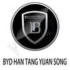 Для BYD ATTO3 YUAN PLUS SONG HAN Наклейка на руль Наклейка на колесный диск Автоаксессуары Декор автомобиля
