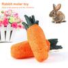 Pet Molar Toy Exquisite Teeth Cleaning Healthy Pet Rabbit Carrot Teeth Grinding