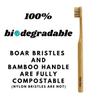 Natural Bristle Bamboo Toothbrush Completely Biodegradable Pig Handle Zero Waste Set of 6 (Nylon Free) - 100% Bristle/Bamboo -