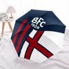 Bologna2pattern, Automatic Folding Umbrella, Portable and Foldable Design, 8 Ribs, a Christmas or Birthday Gift.