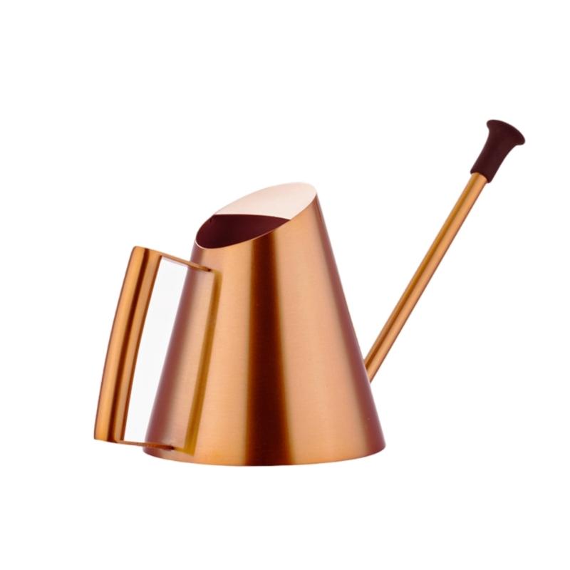 Маленькая лейка для комнатных растений Лейка с длинным носиком Внутренняя лейка для комнатных растений Цветы Суккуленты