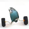 Parrot Toys Boredom Relief Balance Car Small and Medium Bird Supplies Pulley Skateboard Skills Training Props Xuanfeng Bird