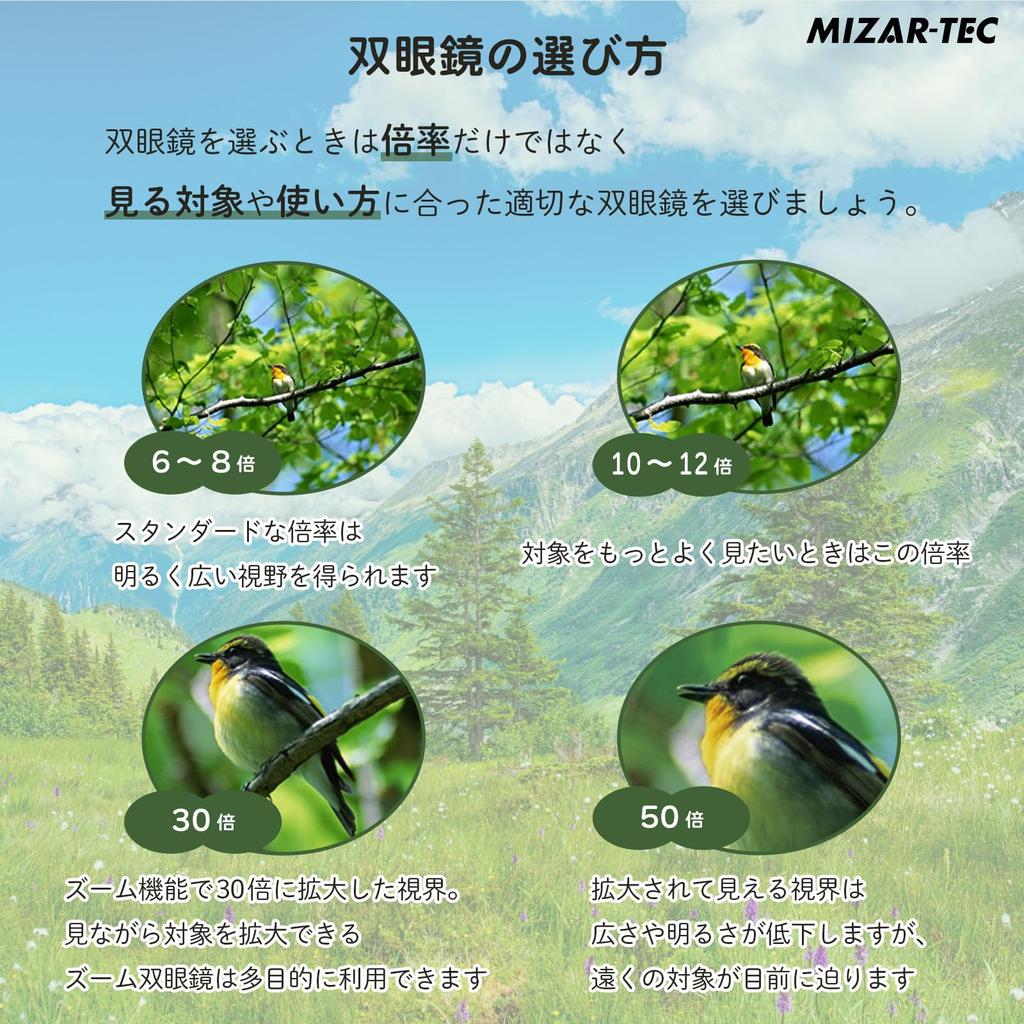 MIZAR-TEC Binoculars, 10x Magnification, Large Aperture, Bright, for Live Performances, Sports, Bird Watching, Black, Soft Case Included, BK-1042D