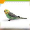 Realistic Bird Model Pvc Parrot Decorative Figurine For Kids Learning And Display