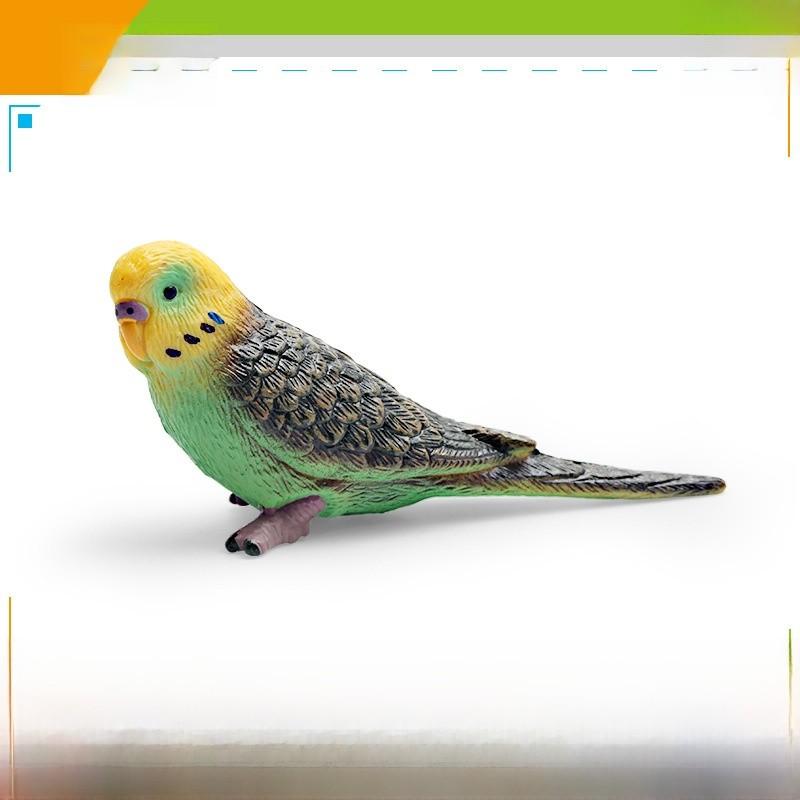Realistic Bird Model Pvc Parrot Decorative Figurine For Kids Learning And Display