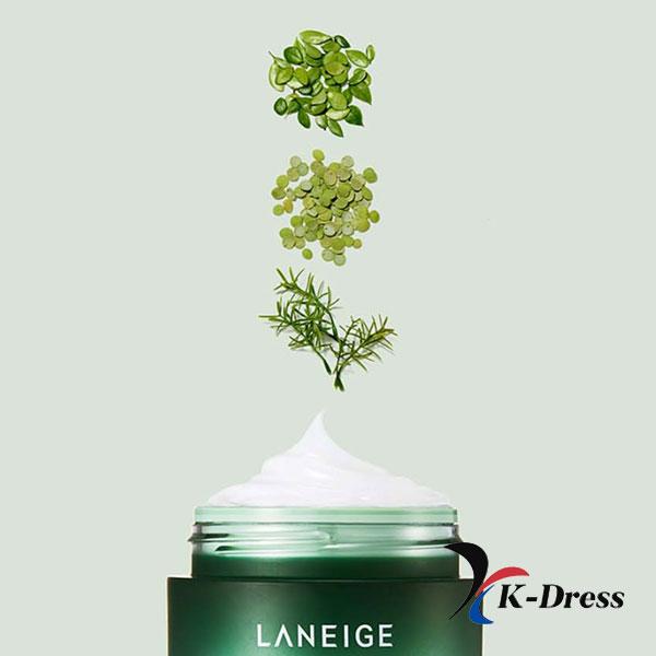 LANEIGE Cica Ночная маска 60мл