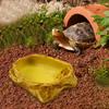Reptile Water Bowl Terrarium Dish Decorative Resin Tank Decor Feeder Feeding for