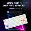 DrunkDeer A75 Rapid Trigger Keyboard Mechanical TKL Gaming Magnetic Switch RGB Wired USB Compact 82 Keys with Knobs White Anti-Ghosting Anti-Spill