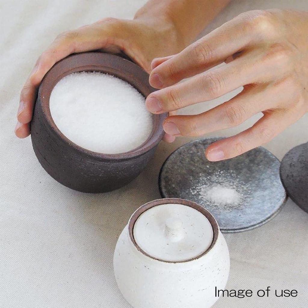 Hechimon Shigaraki Ware Salt Ceramic Storage Salt Made in Moisture Absorbing and Humidity Maintaining Dryness Pot, Large, Black, Canister, Container,