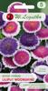 Aster Liliput Moonshine 0.3 Beautiful Flowers Seeds Legutko