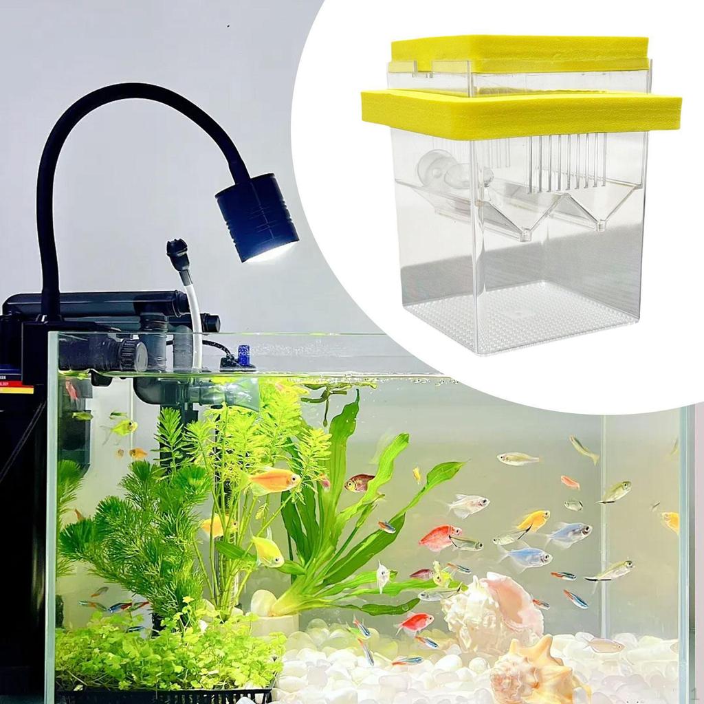 Аквариумный ящик для разведения, плавающий аквариум, инкубатор для маленьких мальков