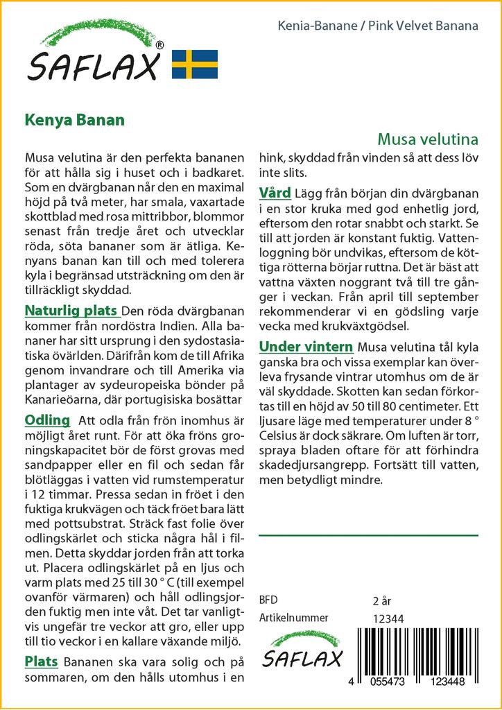 SAFLAX Подарочный набор - Банан Pink Velvet - 8 семян - С подарочной коробкой, карточкой, этикеткой и субстратом для горшков - Musa velutina