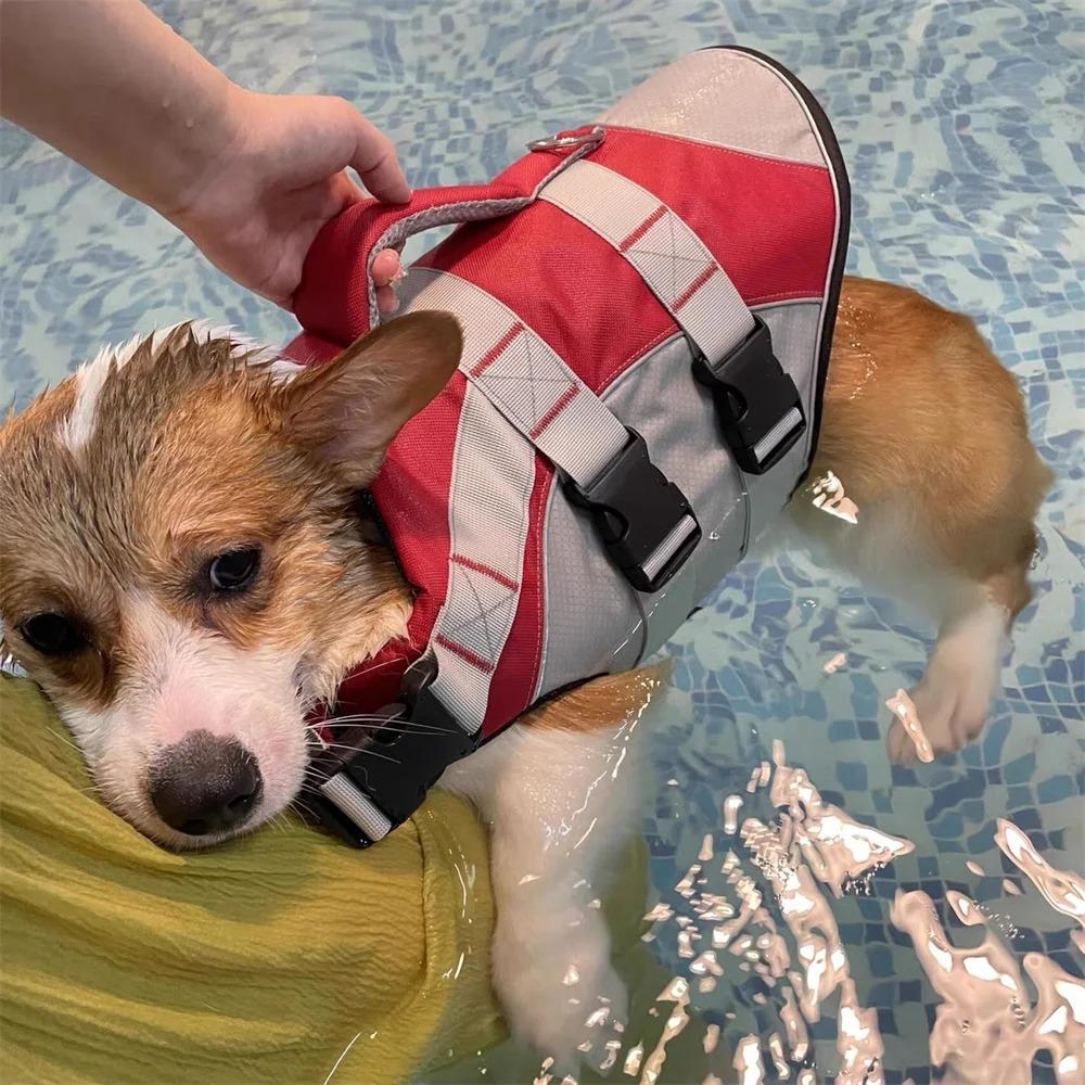 Adjustable Dog Life Jacket Breathable Dog Swimsuit Pet Supplies Swimming Clothes  Spring/Summer