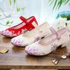 Qiujin, the New Square Heel with Cheongsam Hanfu Shoes, Ethnic Style Single Shoes, Embroidered Shoes.