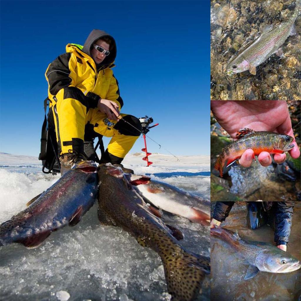 1/3Pcs Realistic Artificial Fly Fishing Lures Fly For Trout Fishing Artificial Insect Bait Lure Fishing