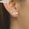 Shining Geometric Gold Color Earrings for Women Climber Tiny Star Stud Earrings Birthday Gift Jewelry Earrring