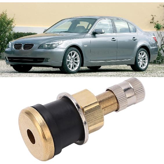 Acouto valve stem, Brass Valve Stem,10 Pcs Brass Valve Stem TR501 High Strength Tubeless Truck Valve Stem for 0.625in Valve Holes