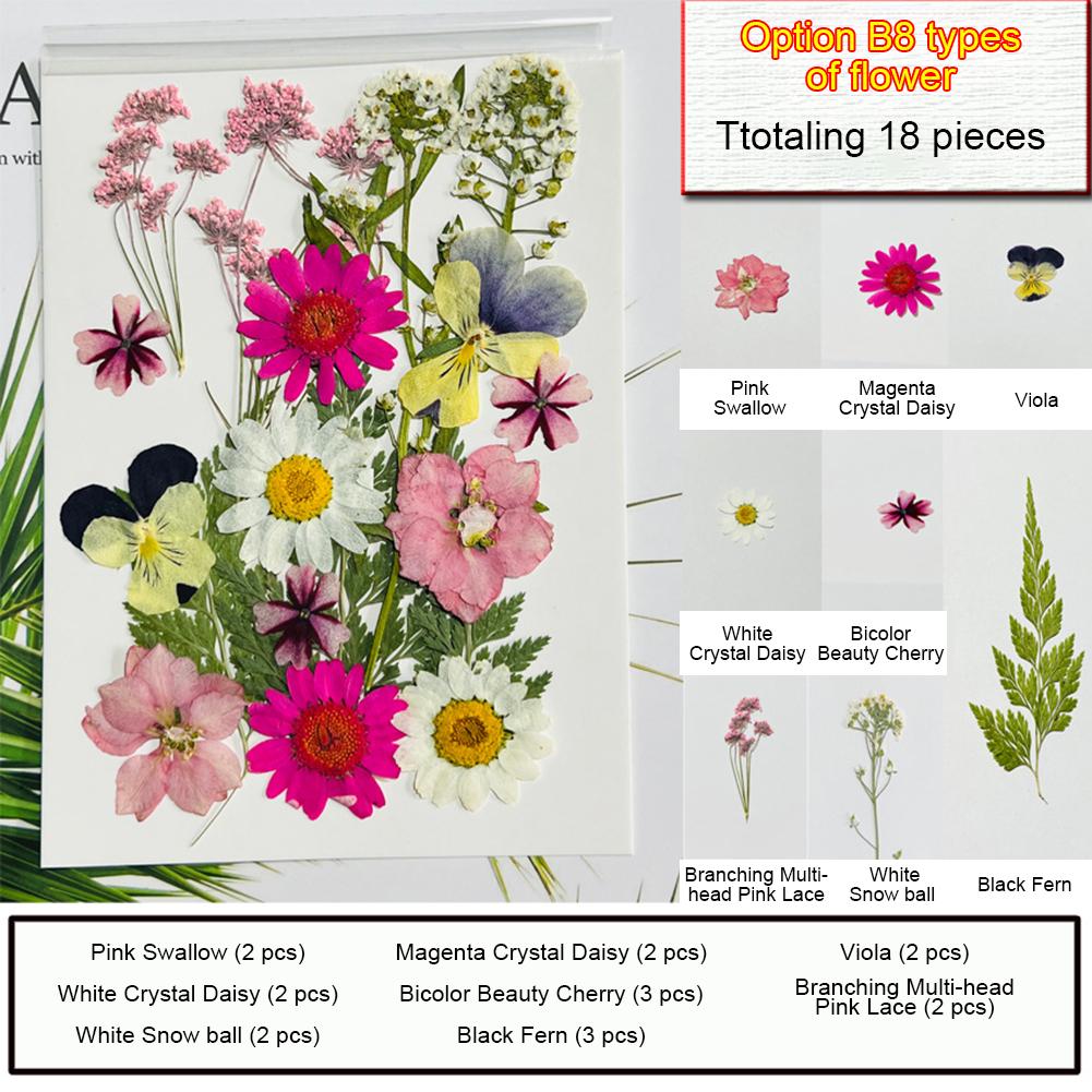 Dried Pressed Flowers For Resin Crafts, Flower Natural Dried Fillers, Assorted Real Natural Bulk Dry Floral Leaves For Scrapbook