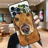 Golden Retriever Dog Case For iPhone 17 16 14 13 12 11 15 Pro Max Mini Plus 16e 17 Air Bumper Cover Accessories