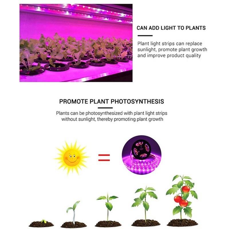 5M 2835 SMD LED Grow Light Full Spectrum USB Grow Light Strip Phyto Lamps Plant Growth Light for Plants Greenhouse Hydroponic Growing