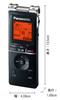 Panasonic Микросхема диктофона RR-XS470-K