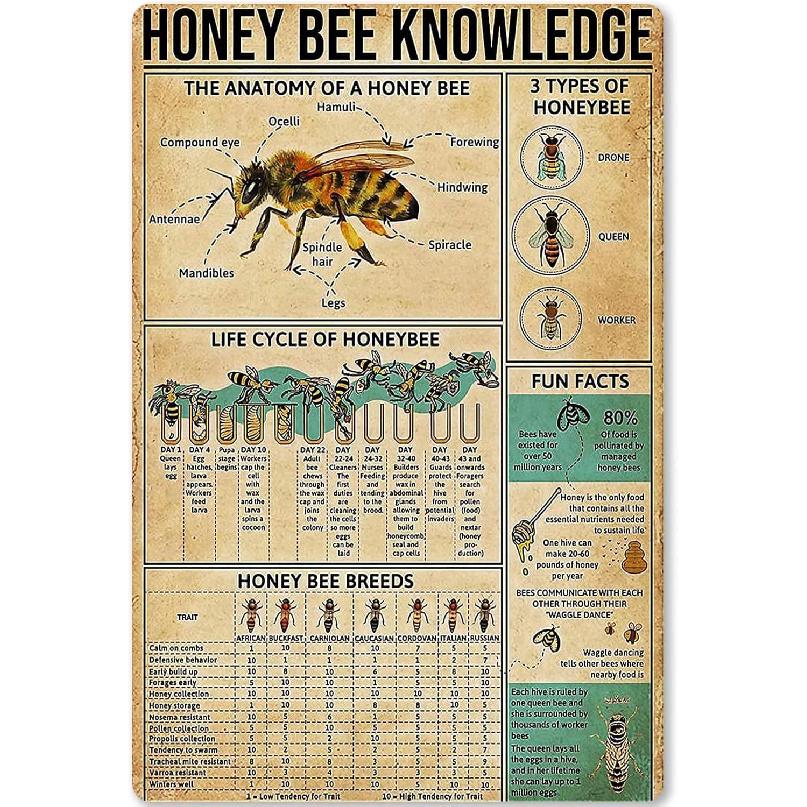 Honey Bee Knowledge Metal Tin Sign The Anatomy Of A Honey Bee Funny Poster Garden School Education Living Room Kitchen Bedroom Home Art Wall