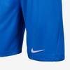 Nike Dri-Fit Park III Удобные Стильные Простые Шорты Детские шорты Темно-синий IB8681-450