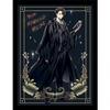Harry Potter: Wizard Dynasty Tom Marvolo Riddle Framed Poster