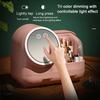 Dustproof Makeup Storage Box with LED Mirror Large Capacity Multiple Compartments Countertop Makeup Storage Organizer
