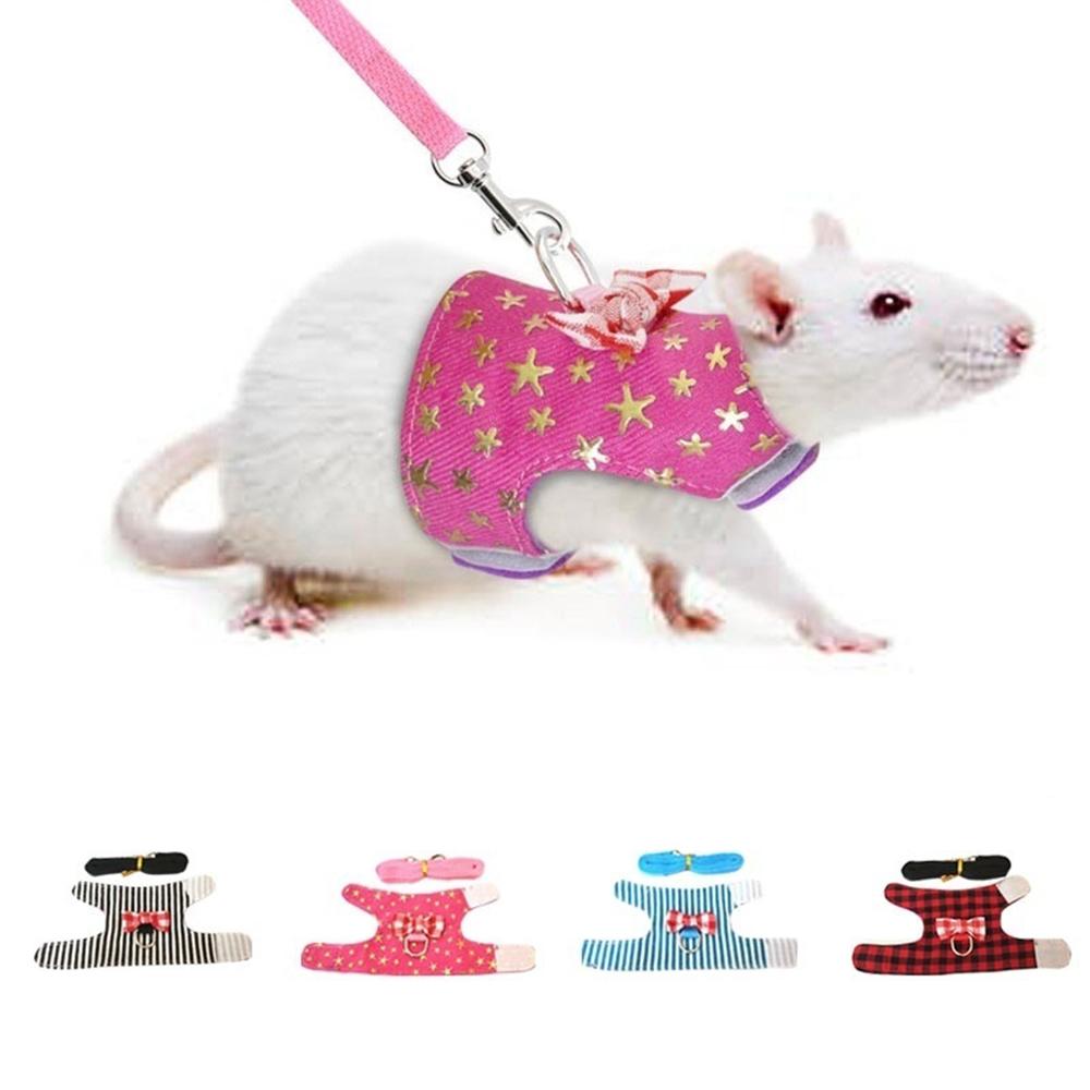 Safety Cute Ferret Adjustable Squirrel Harness Leash Leads Hamster Vest Chest Strap