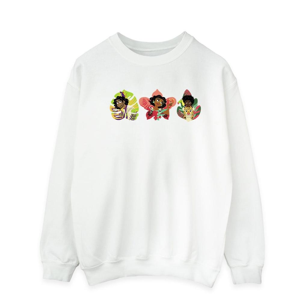 Disney Mens Encanto Family Line Sweatshirt