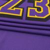 Nike Леброн Джеймс Лос-Анджелес Лейкерс 2024/25 Городская версия Мужская аутентичная игровая майка Nike Dri FIT Adv НБА FQ4469-504