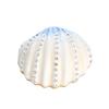 Crystal Shell Metal Craft Jewelry Box Trinket Box Necklace Earring Bead Box Small Wedding Decor Party Favor Gift