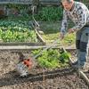 Stainless Steel Manual Rotary Tiller Adjustable Handle Soil Mixing Tool For Garden Farm
