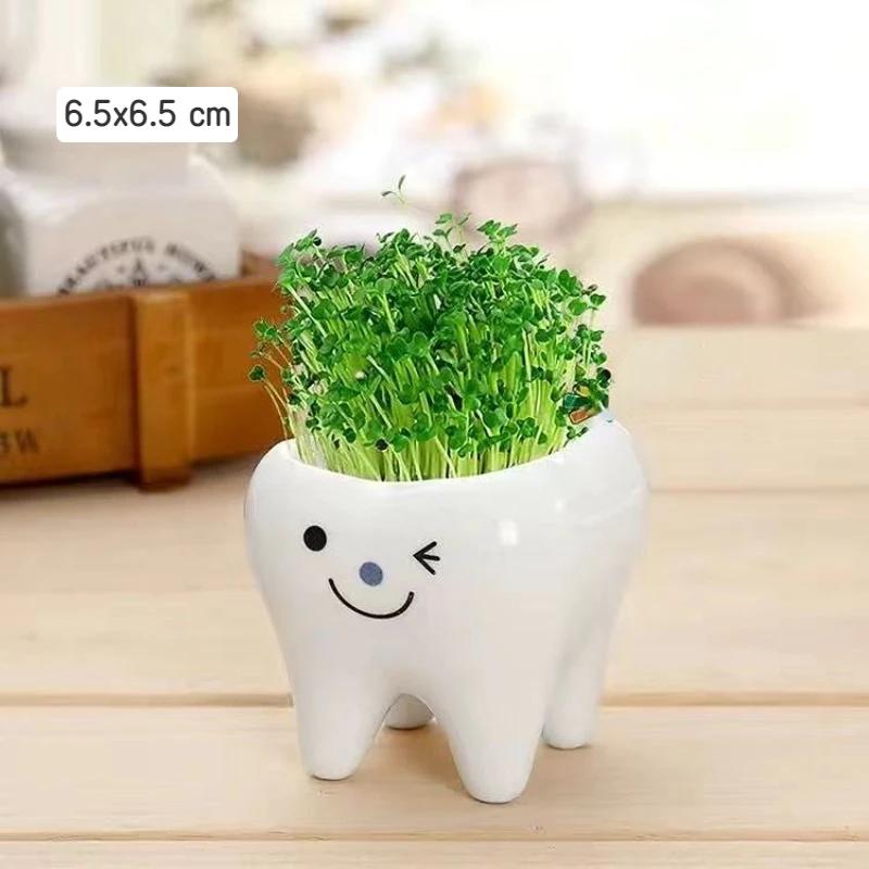 2025 Новый керамический цветочный горшок в форме мини-зуба, симпатичное настольное растение в горшке, креативный цветочный горшок, украшение стола, небольшой орнамент