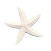 Simulation Starfish Design Mediterranean Style Fish Decoration Ornament Eco-friendly Decoration O0D6