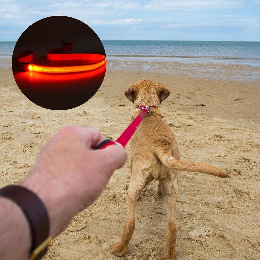 Набор из 4 светящихся поводков для собак, перезаряжаемый и водонепроницаемый нейлоновый дизайн для видимости и безопасности в ночное время для всех размеров питомцев