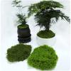 50G Fake Moss Diy Crafts Grass Artificial Moss Faux Preserved Moss Green Plants Home Room Garden Decor Mini Landscape Fake Grass