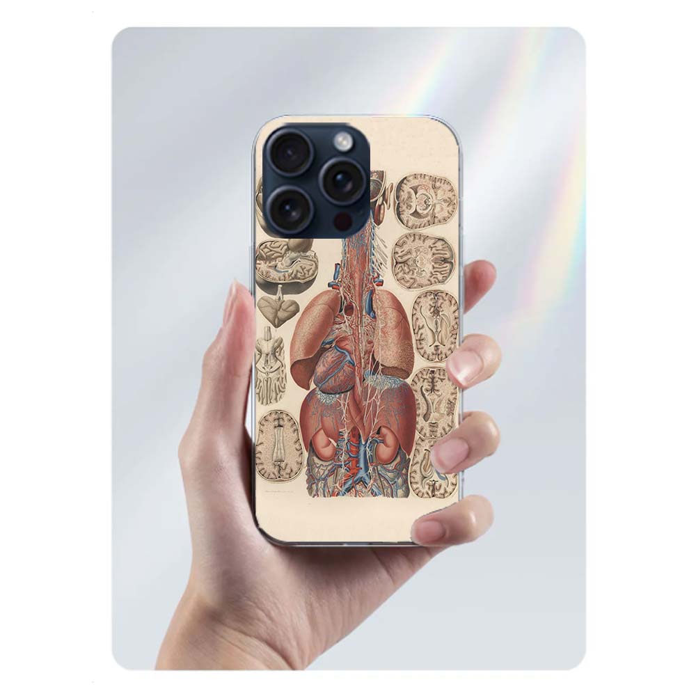 Медицинский Человеческие Органы Мозг Чехол Capa Для Телефона Для Iphone 17 Air 16 Pro Max 15 12 Pro 14 Plus 17E 16E 11 13 Mini Чехлы Fundas