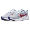 Nike Мужские кроссовки Downshifter 12 Серый Красный DD9293-006