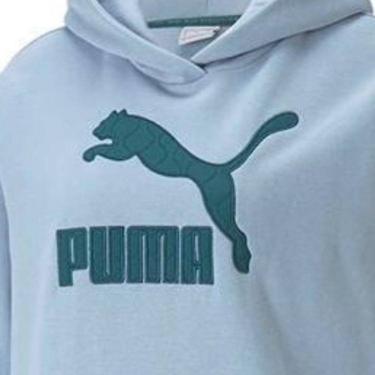 Puma Повседневная толстовка с капюшоном и логотипом, женская толстовка, синяя 539278-79