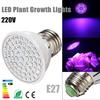 E27 5W 60 LED 2835 SMD Grow Light Bulb Lamp Garden Plant Flowering Hydroponics