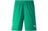 PUMA Sports Shorts Unisex Green Moderate 605570-07