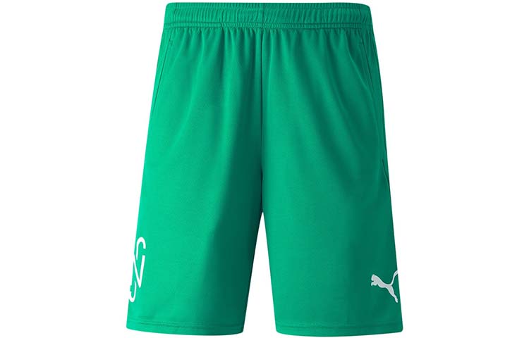 PUMA Sports Shorts Unisex Green Moderate 605570-07
