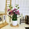 Phalaenopsis Flowers Artificial Decorative Plant For Home And Decoration Event