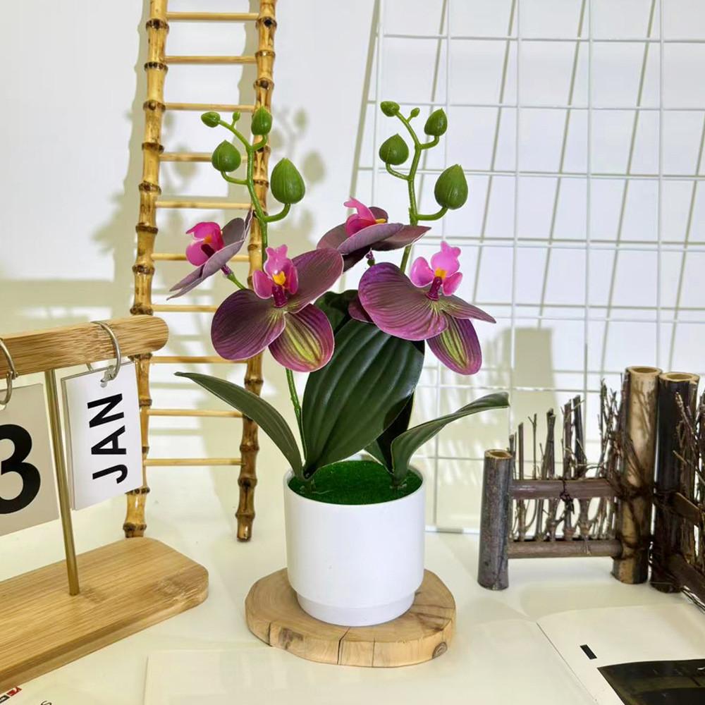 Phalaenopsis Flowers Artificial Decorative Plant For Home And Decoration Event