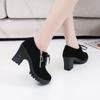 Women Ankle Boots Autumn Winter Buckle Zip Lace Up Short Boots Ladies Fashion Platform Shoes Female Chunky High Heels
