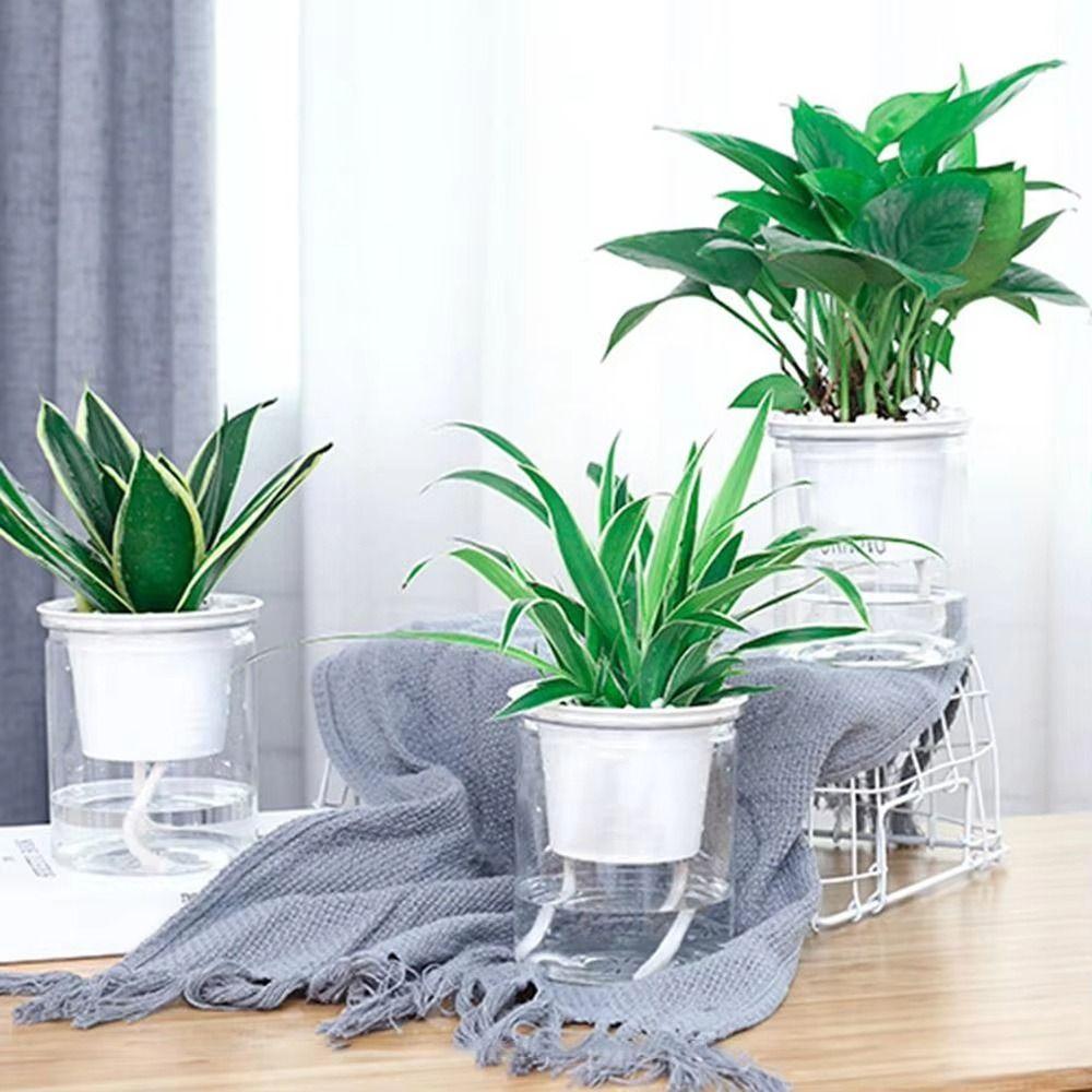 1Pcs Self Watering Hydroponic Planter for Green Dill Succulents Travel Essentials