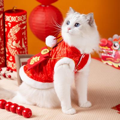 Маленький красный конверт кошка, чтобы было тепло и празднично зимой Китайский Новый год Китайский Новый год Одежда Тан щенок Йоркшир двуногий питомец одежда для кошки